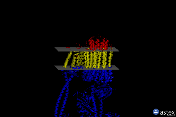 Membrane view of 7njn