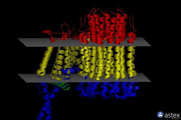 Membrane view of 7njy