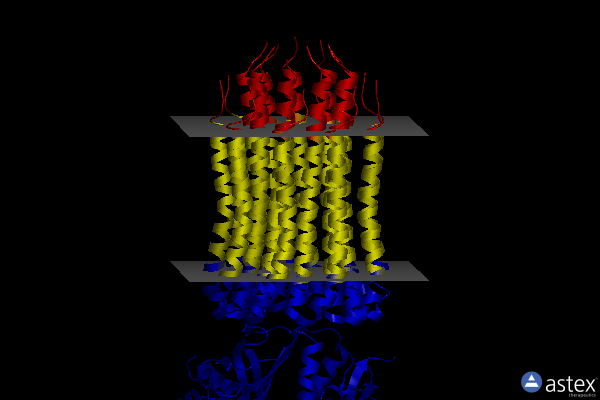 Membrane view of 7nkn