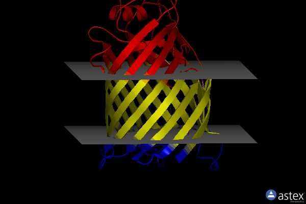 Membrane view of 7nrf