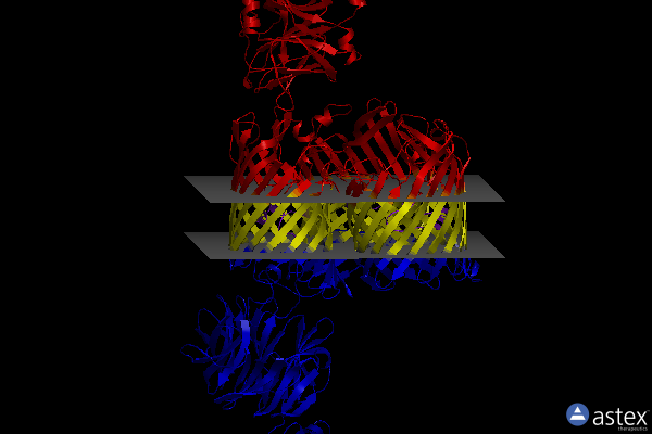 Membrane view of 7nst