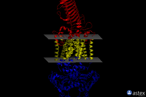 Membrane view of 7o11