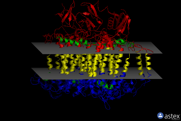 Membrane view of 7o1v