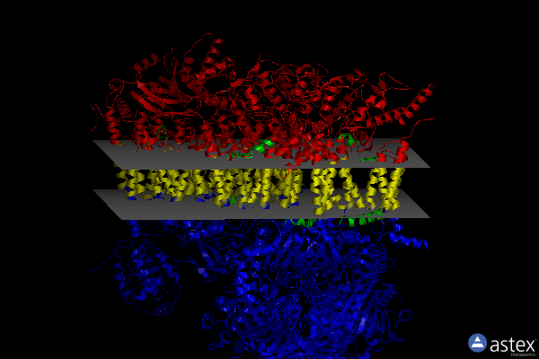 Membrane view of 7o3e