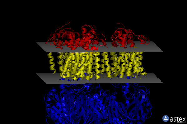 Membrane view of 7o3l
