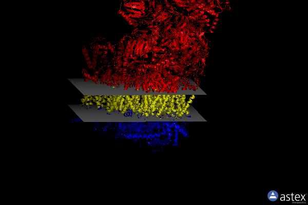 Membrane view of 7o71