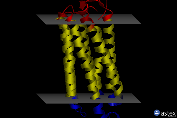 Membrane view of 7o8p