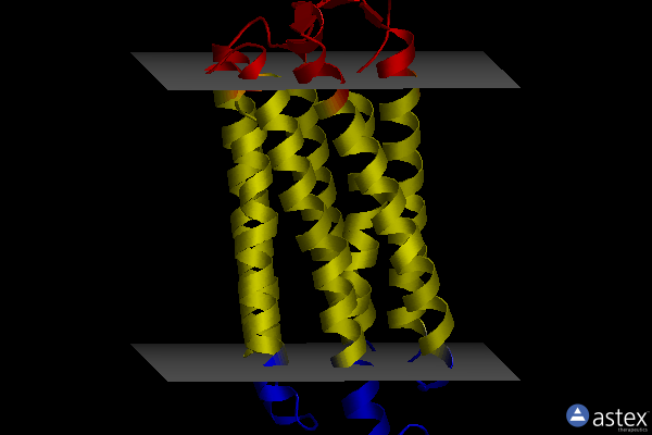 Membrane view of 7o8r