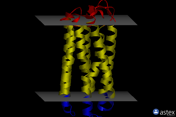 Membrane view of 7o8s