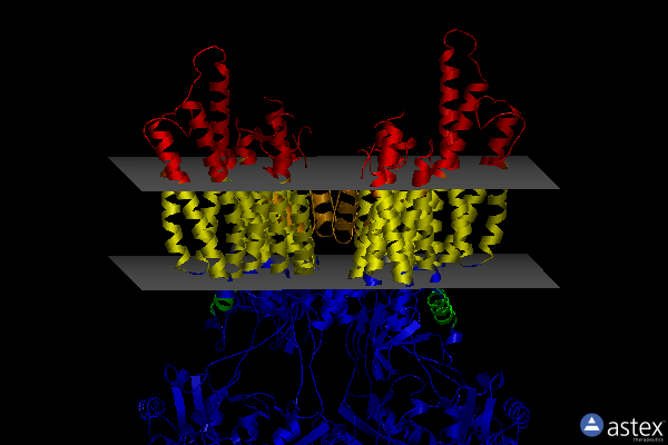 Membrane view of 7ocf