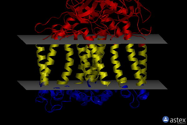 Membrane view of 7od5