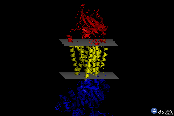 Membrane view of 7oh7