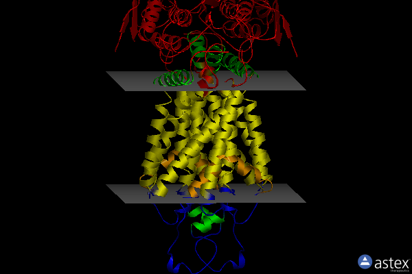 Membrane view of 7oj8