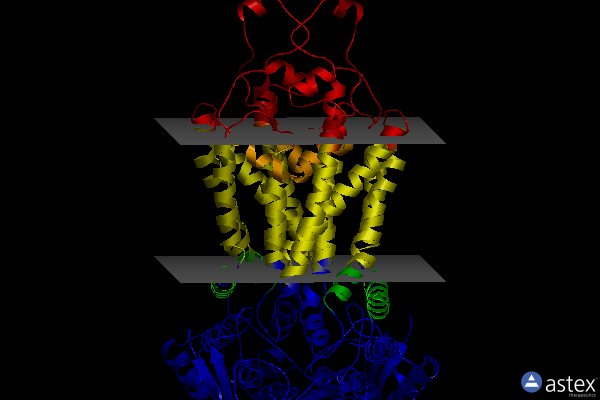 Membrane view of 7oji