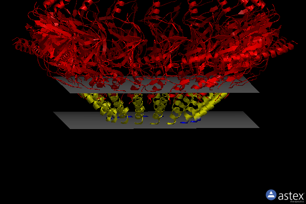 Membrane view of 7okn