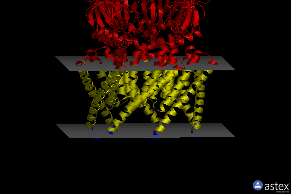 Membrane view of 7oo0