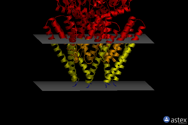 Membrane view of 7oo6