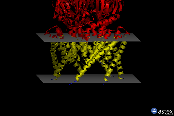 Membrane view of 7ooa