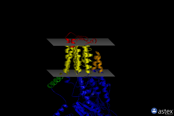 Membrane view of 7op1