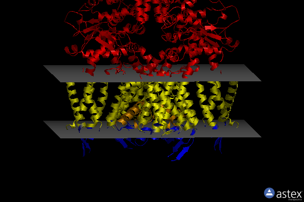 Membrane view of 7or1