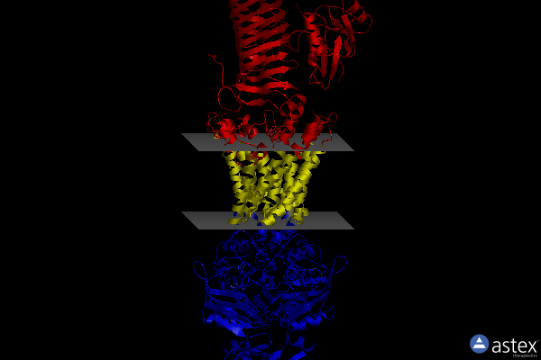 Membrane view of 7osf