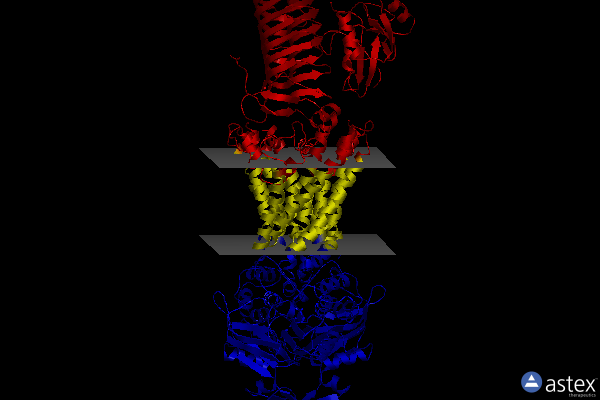 Membrane view of 7osi