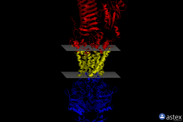Membrane view of 7osj