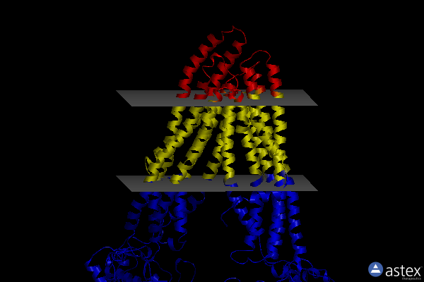 Membrane view of 7otg