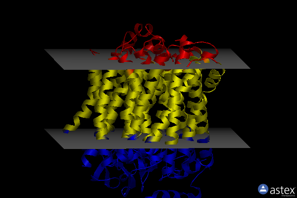 Membrane view of 7oy2