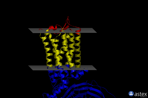 Membrane view of 7p02
