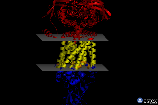 Membrane view of 7p03