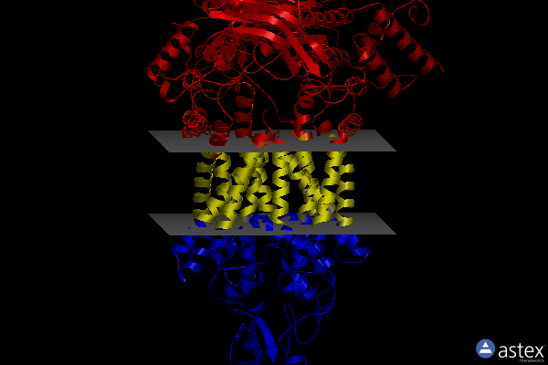 Membrane view of 7p05