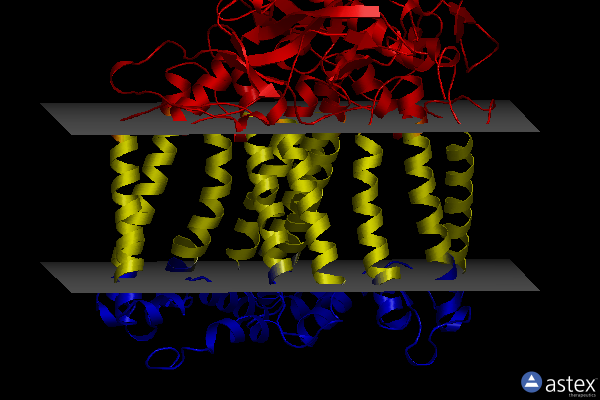 Membrane view of 7p17