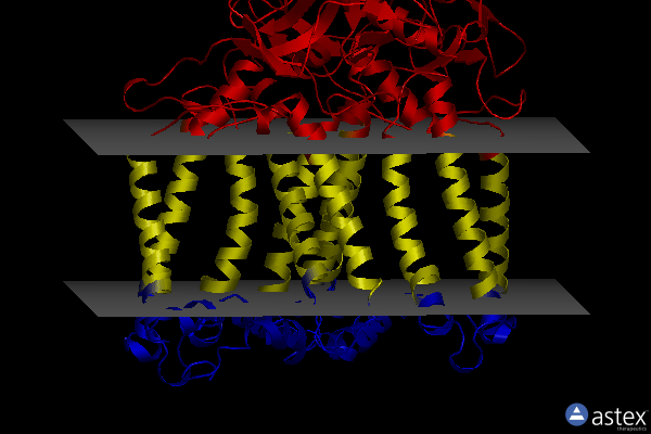 Membrane view of 7p2c