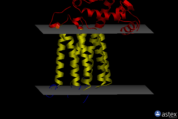 Membrane view of 7p2l