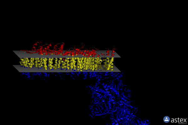 Membrane view of 7p69