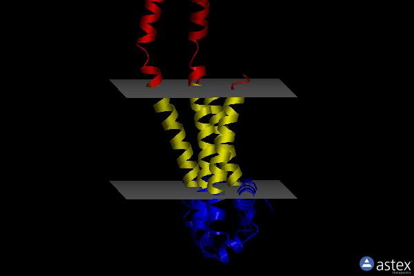 Membrane view of 7pgf