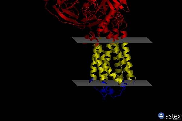 Membrane view of 7piv