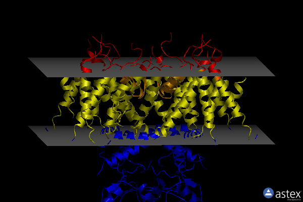 Membrane view of 7pqu