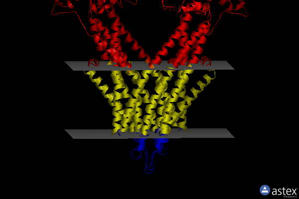 Membrane view of 7pro
