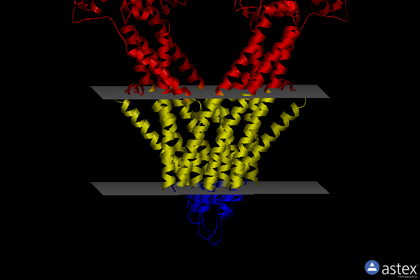 Membrane view of 7psd