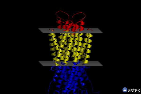 Membrane view of 7psm