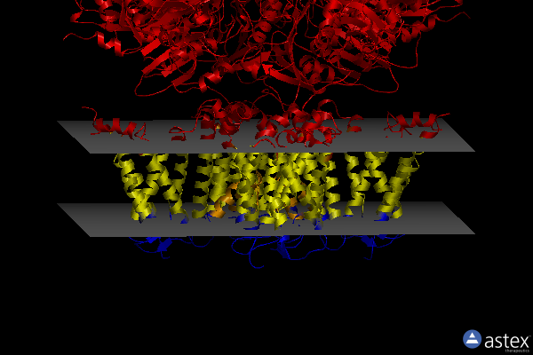 Membrane view of 7pxf