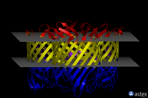 Membrane view of 7pzf