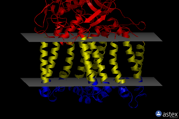 Membrane view of 7q7h