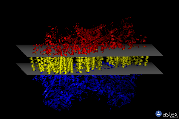 Membrane view of 7qho