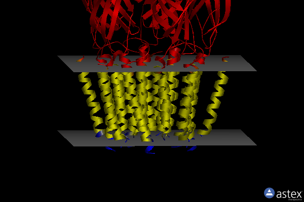 Membrane view of 7qn6