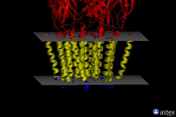 Membrane view of 7qn8