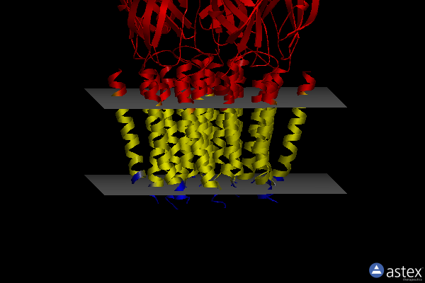 Membrane view of 7qn9