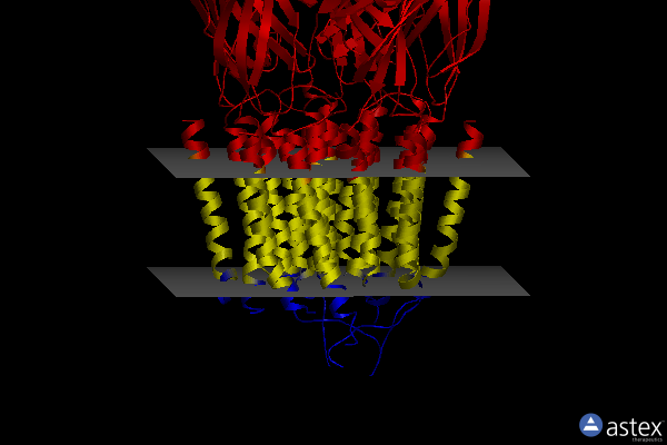 Membrane view of 7qne